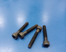 [PN1391/3108Z] CAPSCREW M5 X 30MM