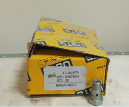 [PS816/75016] BANJO BOLT