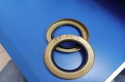[PN155-5652] SHAFT SEAL